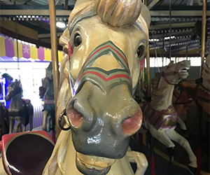 Dr. Floyd Moreland Carousel